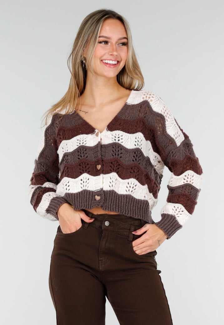 bruin-vest-423ppl-1.jpg bruin vest - Afbeelding 1
