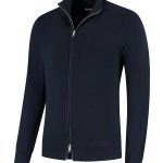 cardigan heren
