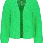 groen vest dames