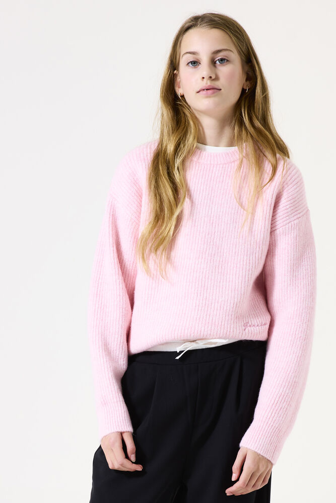 roze-trui-845jqh-1.jpg roze trui - Afbeelding 1