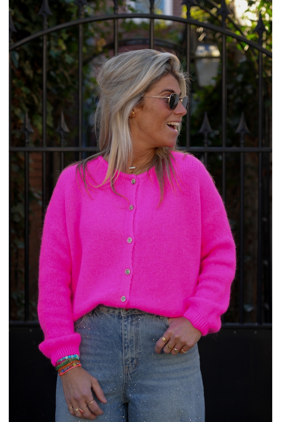 roze-vest-842htx-1.jpg roze vest - Afbeelding 1