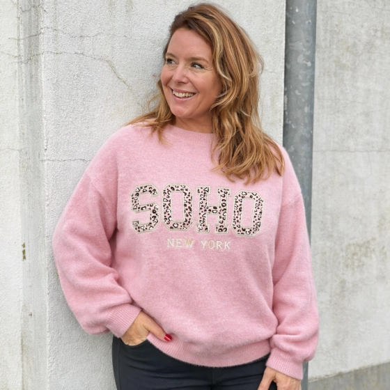 trui-roze-395ohs.webp trui roze - Afbeelding 1